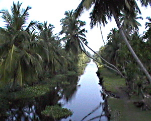 Sri Lanka